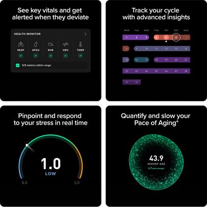 Imagem de WHOOP Peak 5.0 Health Fitness vestível com assinatura de 12 meses