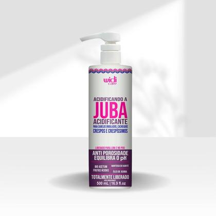 Imagem de Widi Care Acidificando A Juba Kit 2 Acidificante 500ml