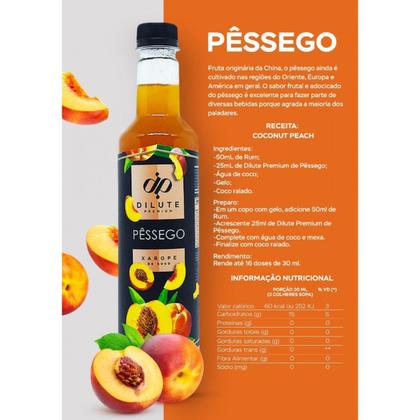 Imagem de Xarope Dilute para Drinks Soda Italiana Gin Pêssego 500ml