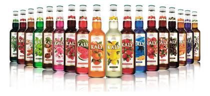 Imagem de Xarope kaly amora 700ml