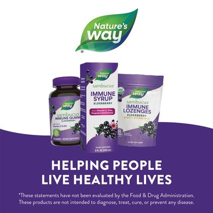 Imagem de Xarope Nature's Way Sambucus Immune com sabugueiro 240 ml