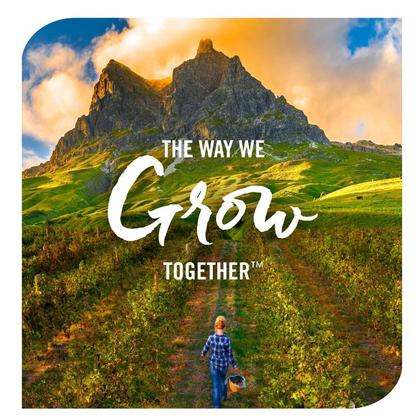 Imagem de Xarope Nature's Way Sambucus Immune com sabugueiro 240 ml