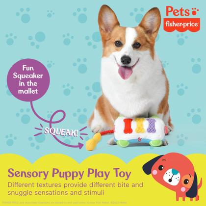 Imagem de Xilofone de pelúcia Fisher-Price Sound-Bites para cachorros