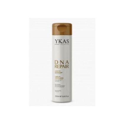 Imagem de Ykas Leavein Dna Repair 250ml