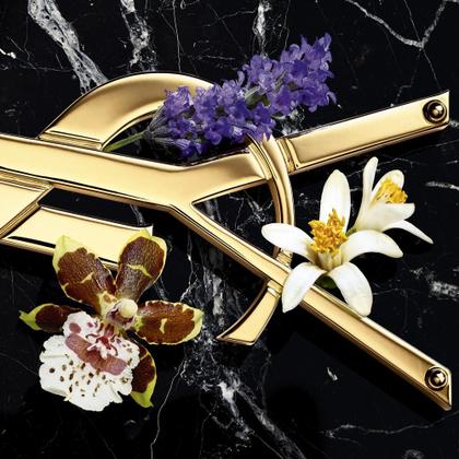 Imagem de YSL Libre Intense EDP Perf Fem 50ml