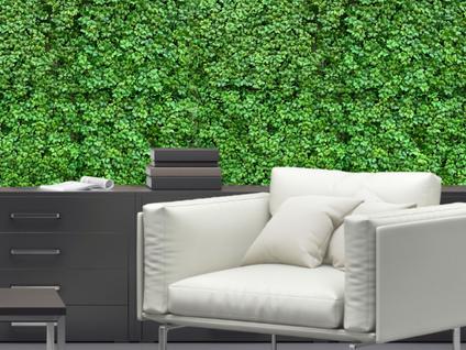12 Placas de Alta Qualidade Plantas Permanentes para Jardim Vertical Indicado Decoração Ár