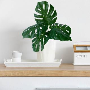 6 Hastes de Costela de Adão Artificial Folhagens Permanentes para Decoração Simples e Eleg