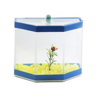 Aquário Beteira Design para Peixes Omega Decorada