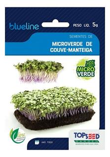 Blue line microverde couve manteiga