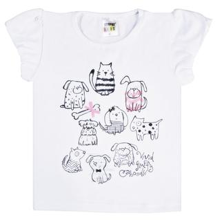 Blusa Manga curta em cotton leve várias estampas nº 4 ao 8