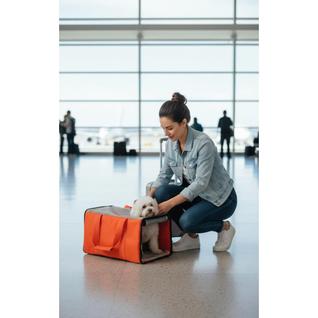 Bolsa Transporte Pet Aéreo: Segurança e Conforto em Viagens