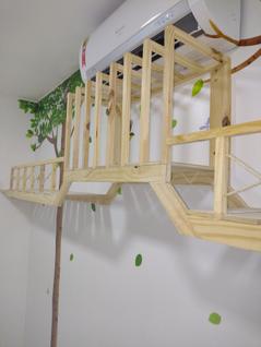 Brinquedo ponte passarela para gatos