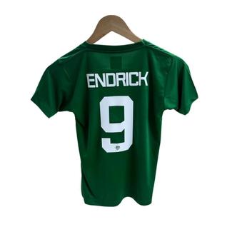 Camisa Palmeiras Infantil Decote V Revedor + Personalização