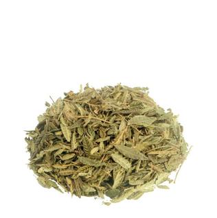 Chá Carobinha 100% Natural - Propriedades Medicinais e Benefícios