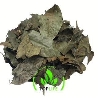Chá de Bugre 500Gr (Erva seca)