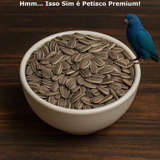 Girassol Miúdo 1Kg Alimentação Nutrição Proteínas Fibras Vitaminas Animais Pássaros Sabor 