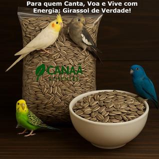 Girassol Miúdo 5Kg Alimentação Nutrição Proteínas Fibras Vitaminas Animais Pássaros Sabor 