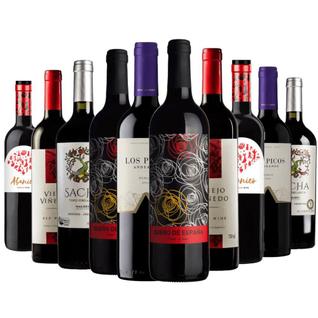 Kit 10 Vinhos por menos de R 18 a Garrafa