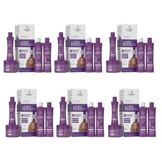 Kit 6 Capilar Loiro Perfeito Matização 4itens - Bio Instinto