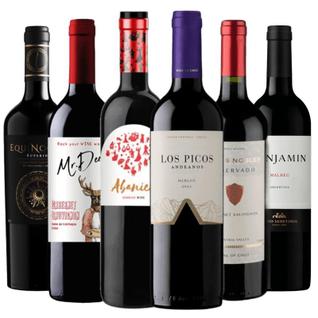 Kit 6 Vinhos Tintos Essenciais