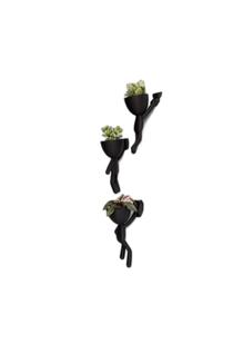 Kit com 03 Vasinhos Para Decoração de Parede G - Bob Aventureiro