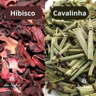 Kit desinchá hibisco com cavalinha premium