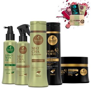 Kit Haskell Raiz Equilibrada e Crescimento 5 itens