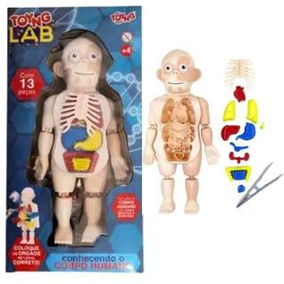 Kit Médico Corpo Humano em Plástico: Um mundo de descobertas te espera dentro do corpo hum
