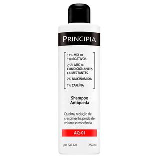 Shampoo Antiqueda Principia AQ-01 250ml