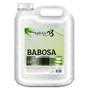 Shampoo Babosa Controla o Excesso de Oleosidade 5L-Lady Liz