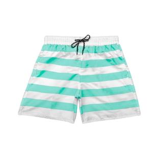 Shorts Masculino Listrado Tactel AMGK