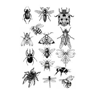 Tatuagens Temporaria Insetos