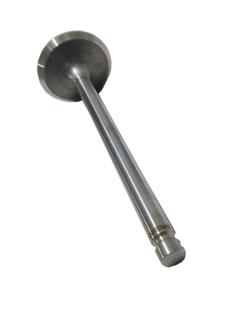 Valvula De Escape ( Valor Da Unidade ) ( F-250 1098 A 0399 Motor Cummins Mecanico ) - BF8T