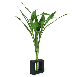 Vaso em Vidro e Suporte de Madeira Médio com Bambu da Sorte - Feng Shui
