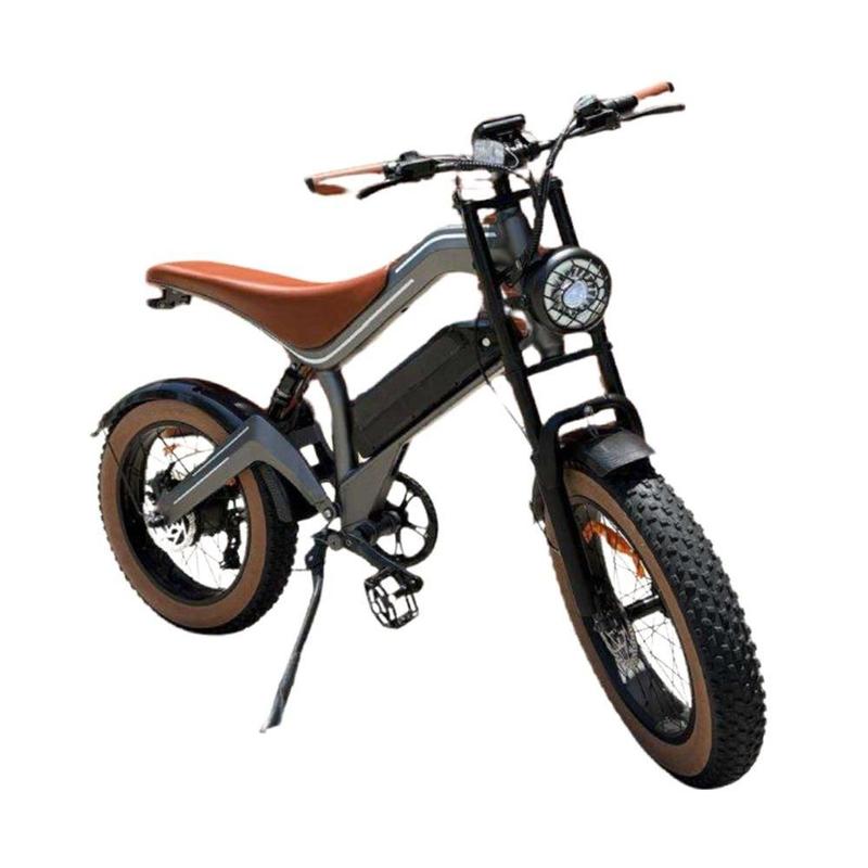Bicicleta Elétrica Yiwu Valley 750W 32km/H - Capacidade 150Kg