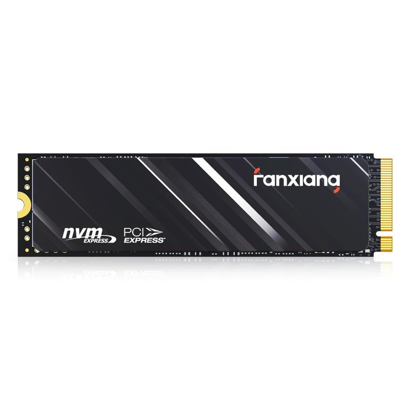た*迎様 SATECHI SSDケース fanxiang S501Q NVMe Unidade de estado sólido fanxiang S501Q 1TB PCle 3.0x4 NVMe M.2