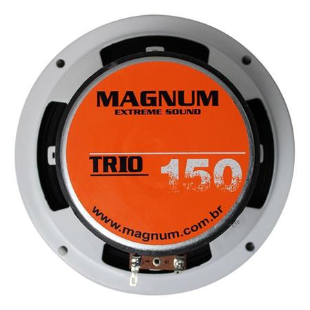 Mini Paredão Magnum 100w Rms 600w Rms Total Som Forte 8