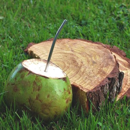 Imagem de 10 Canudos De Inox 6,3mm Curvado Ecológico Com 10 Escovinhas com 19cm