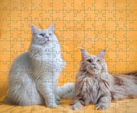 Imagem de 10 Quebra-Cabeça Cognitivo Idosos Gatos E Cachorros