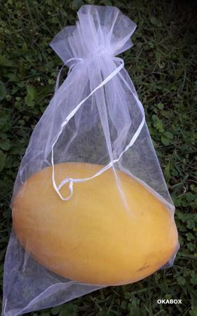Imagem de 100 PÇS Sacos Para Proteção Frutas No Pe Lavável  20x30 cm