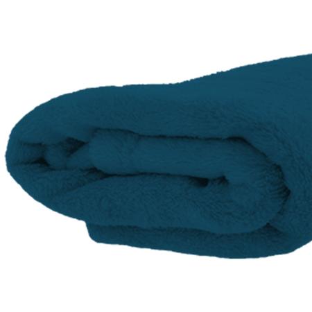 Imagem de 2 Cobertores Manta Casal Microfibra Anti Alérgica Atacado Doação