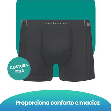 Imagem de 2 Cuecas De Microfibra Boxer Box Selene Sem Costura Plus Size