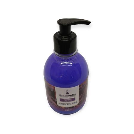 Imagem de 2 Sabonete Líquido Jabuticaba Perfumado Hidratante Cheiroso Grosso Top 250ml Senalândia - Envio Já