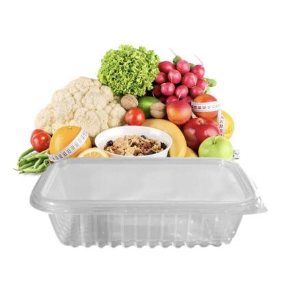 24 un pote descartavel 500 ml freezer marmita fit microondas - PRAFESTA / TOTALPLAST Imagem de 24 un pote descartavel 500 ml freezer marmita fit microondas