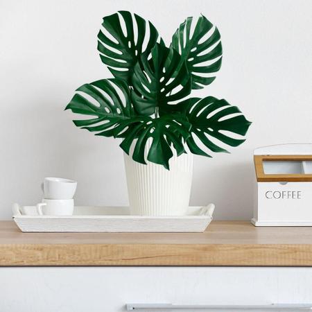 Imagem de 3 Plantas Artificiais Costela de Adão Revestida em Silicone própria para design de interiores e Vasos - DE0624