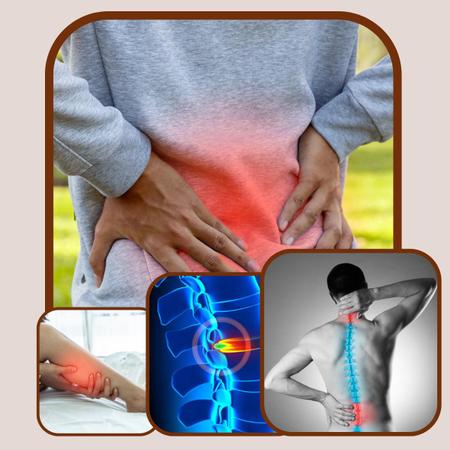 36 Suplemento Alimentar Columax Pote 30 Cáps - Saúde e Ervas Imagem de 36 Suplemento Alimentar Columax Pote 30 Cáps