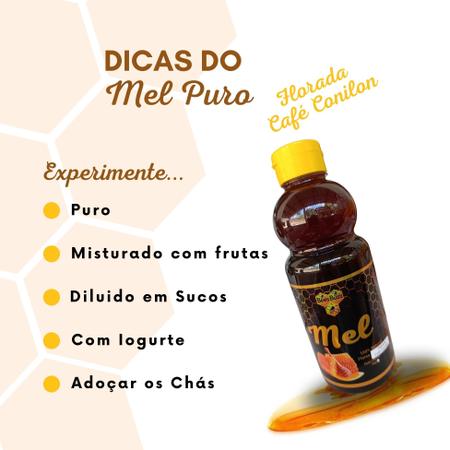 Imagem de 3X Mel 100% natural BEES BUZZ 1Kg Bisnaga Flor Café Conilon