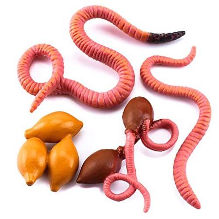 Imagem de 4 PCS Earthworm Farm Animal Life Cycle Modelo Figura Estatueta Estátua Set Festa Favorece Suprimentos Bolo Toppers Decoração de Decoração Brinquedos Educacionais para 5 6 7 meninos meninos meninas crianças crianças