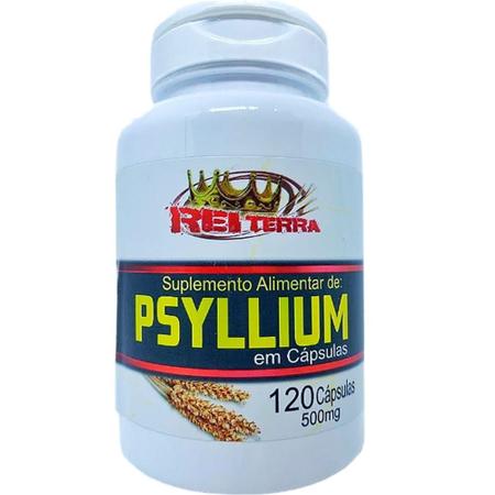 Imagem de 4 Potes de Psyllium 120 Cápsulas 500mg