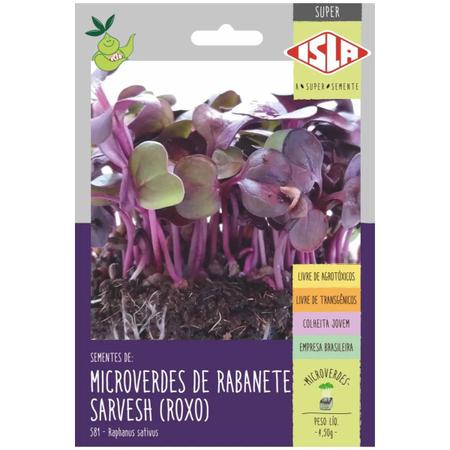 Imagem de 4X Sementes Brotos Microverdes de Rabanete Sarvesh (Roxo)